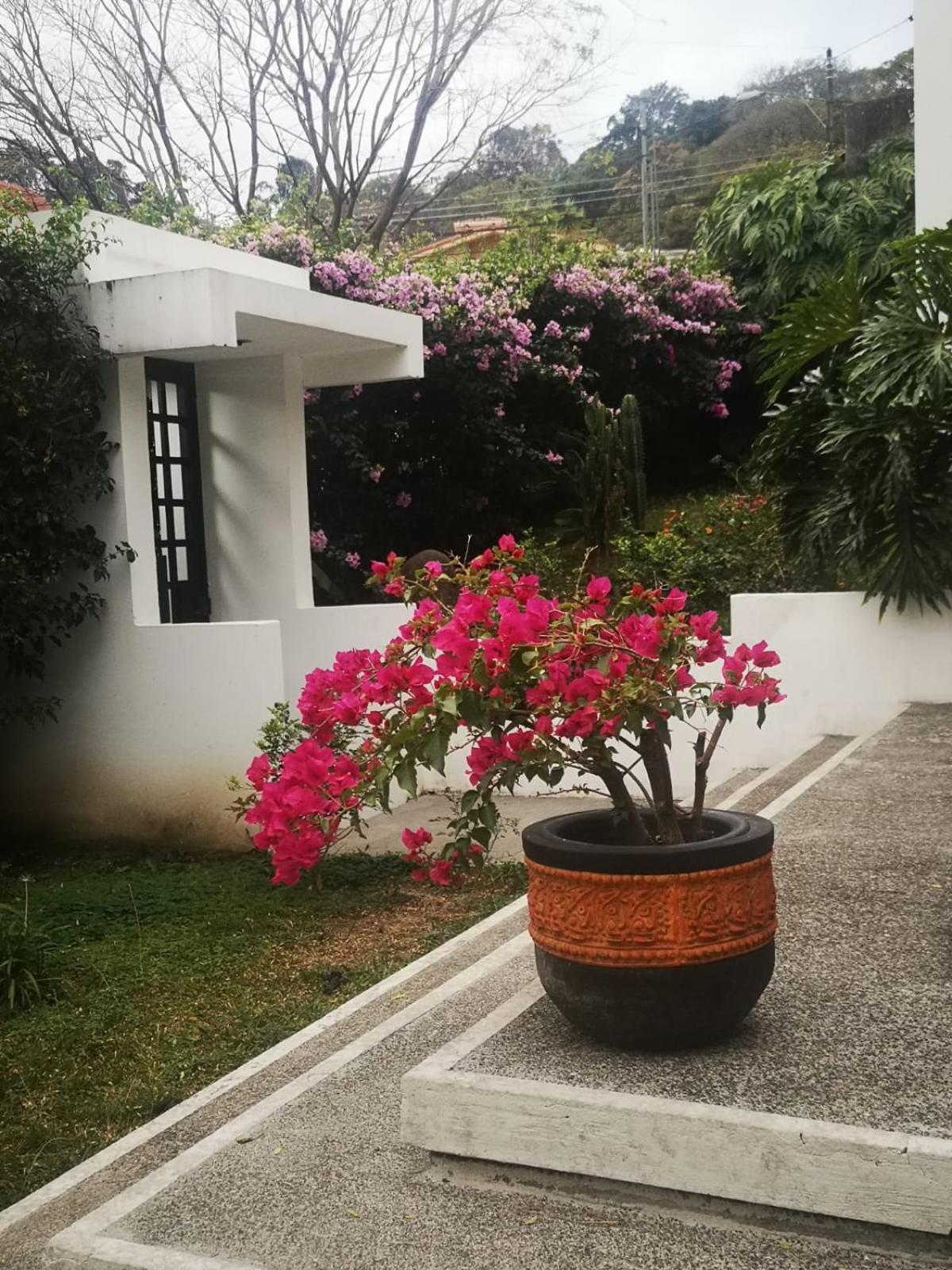 Casa Marlui-San Jose Apartment Curridabat Bagian luar foto